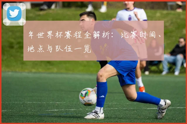 年世界杯赛程全解析：比赛时间、地点与队伍一览